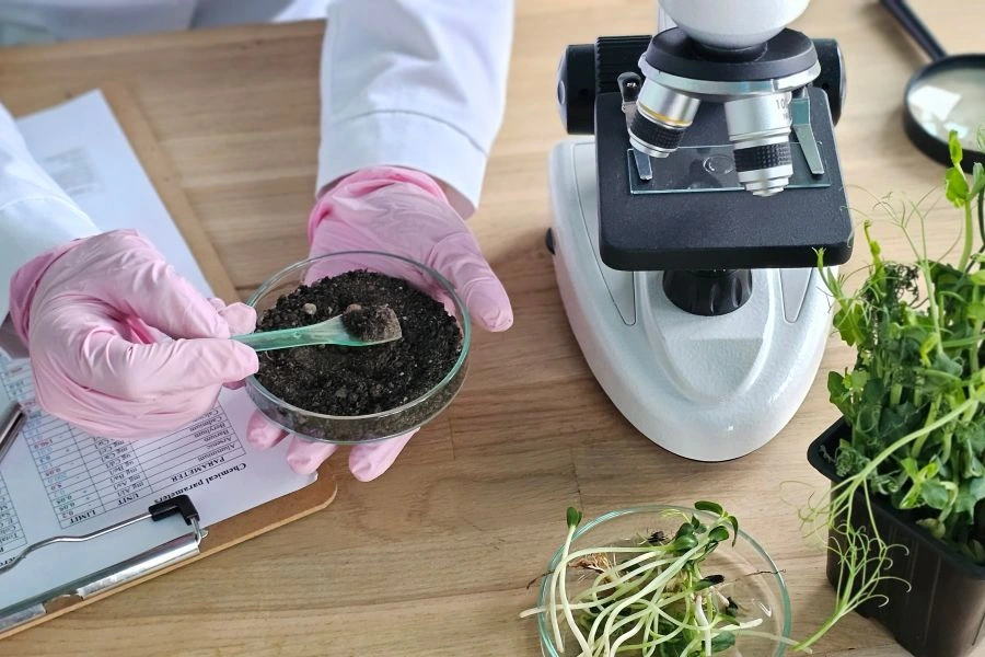 Researcher analyzing soil health